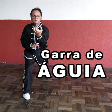 Curso Kung Fu Garra De Guia Andar Por Estradas