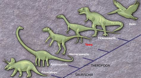 La Fascinante Teor A De La Evoluci N De Los Dinosaurios Descubre Su