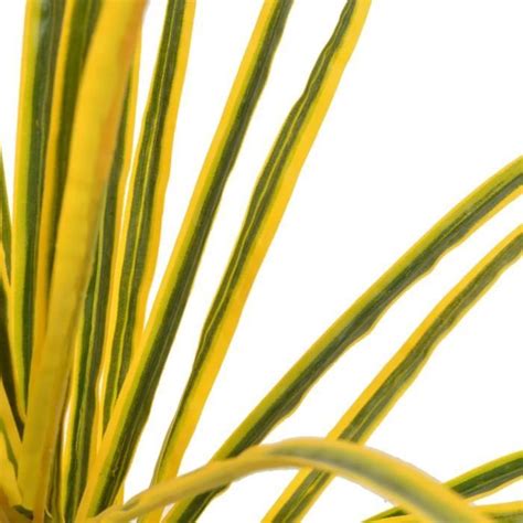 Plante Artificielle Avec Pot Dracaena Jaune 125 Cm Omabeta J14271