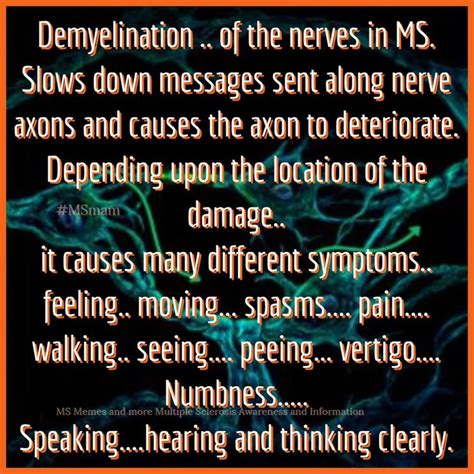 Demyelination .. of the nerves in MS. Slows down messages sent along ...