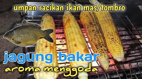 025 Kreasi Umpan Ikan Mas Tombro Jagung Bakar Umpan Jagung YouTube