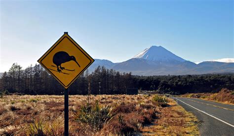 Skiwi Sign Beware Skiing Kiwis Skiwis Road Sign With Flickr