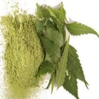 Natural Neem Powder For Ayurvedic Medicine Cosmetic Products Herbal