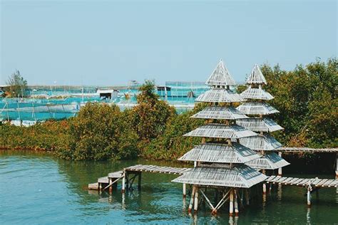 Pantai Congot Pesona Alami Di Kulon Progo