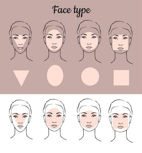 Face Shape Guide Makeup Tutorials For Beginners Everything You Need