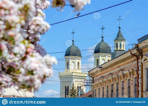 Florecimiento De Cerezos En Primavera Contra El Fondo De La Ciudad