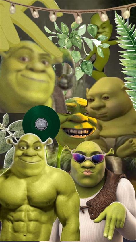 Shrek Shrine Shrek Aesthetic Moodboard Collage Shrek Shrek Funny