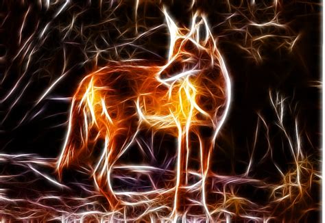 Fractalius Foxes Flaming Fox Hd Wallpaper Pxfuel