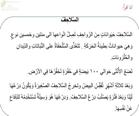 نشاط تدريبي في فهم المقروء لدرس السلاحف الصف الثالث لغة عربية الفصل