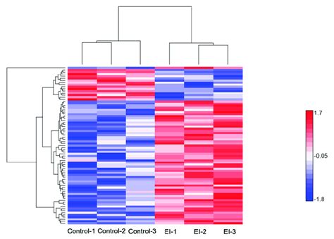 Hierarchical Clustering Of Differentially Expressed Proteins At The Download Scientific Diagram