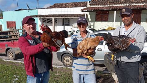 Vanio Da Feira Das Galinhas Registrado S Novidades Em Capoeiras