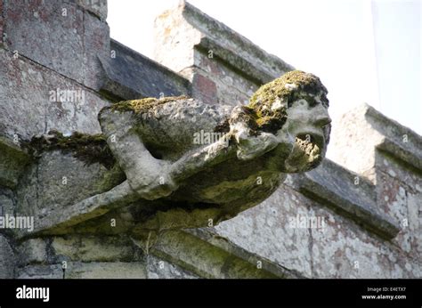 Water Spout Gargoyle Hi Res Stock Photography And Images Alamy