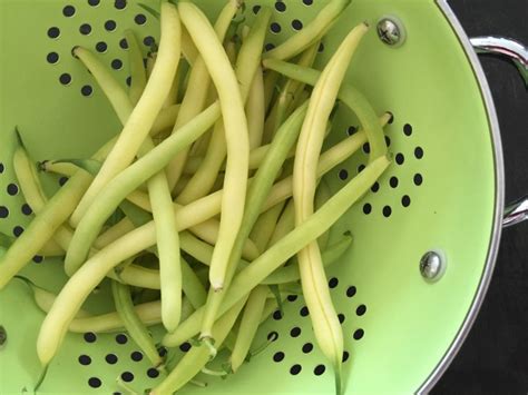 Sautéed Wax Beans With Scallions And Jalapeños Lisas Project Vegan