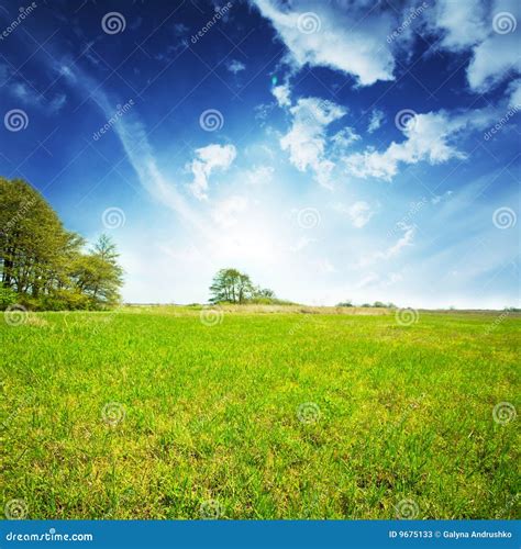 Grassland Stock Photos Image 9675133