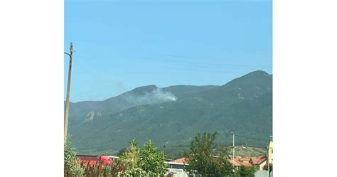 Горски пожар над с. Ресилово вдигна на крак огнеборци, доброволци и горски