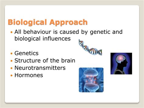 Ppt Biological Approach Powerpoint Presentation Free Download Id