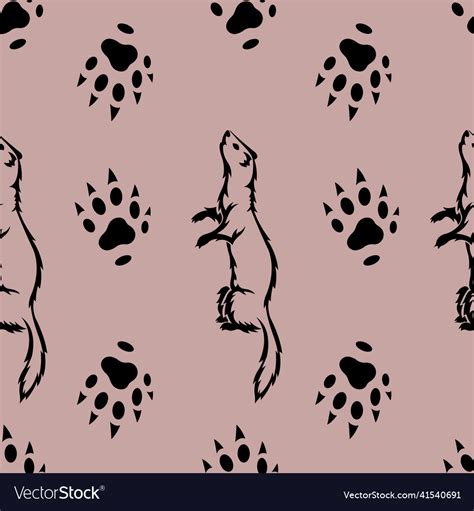 Seamless Pattern With Ferrets And Paw Print Vector Image