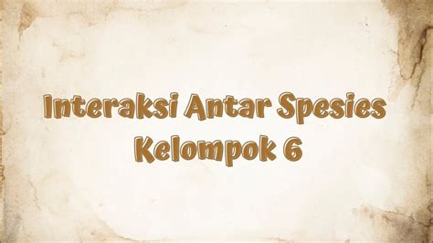 Interaksi Antar Spesies Kelompok Youtube