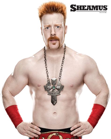 Sheamus Aka The Celtic Warrior The Great White Celtic Warriors