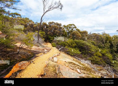 Freycinet Peninsula Circuit In Tasmania Australia Stock Photo Alamy