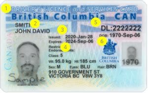 How To Get A Bc Driver S License Full Guide