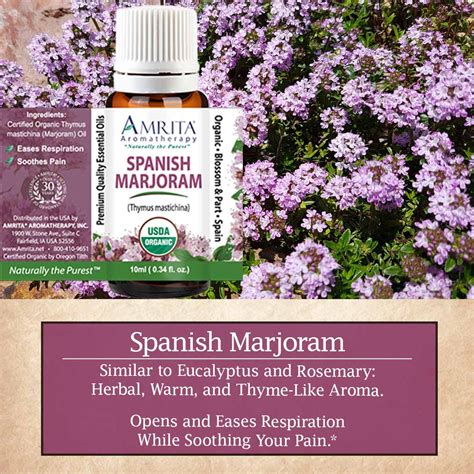 Marjoram Spanish Organic Essential Oil Amrita Aromatherapy