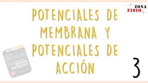 Fisiolog A Potenciales De Membrana Y Potenciales De Acci N E