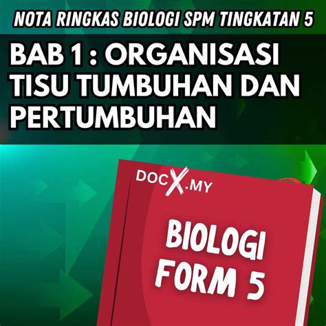 Nota Biologi Tingkatan 5 Bab 1 Organisasi Tisu Tumbuhan Dan Pertumbuhan