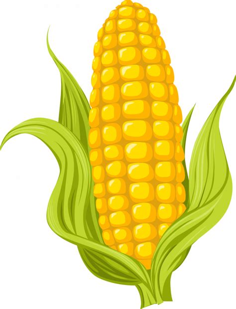 corn kernel clipart 19 free Cliparts | Download images on Clipground 2025