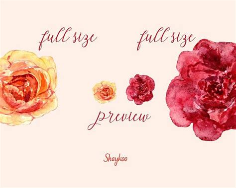 This Hand Painted Watercolor Roses And Camellias Clipart Is In Gold