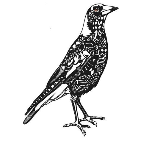 Australian Magpie Sticker By Jason Embery Magpie Art Magpie Tattoo