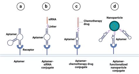 Computational Frontiers In Aptamer Based Nanomedicine For Precision