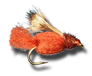 Sparkle Caddis Pupa Brown The Fly Shack Fly Fishing