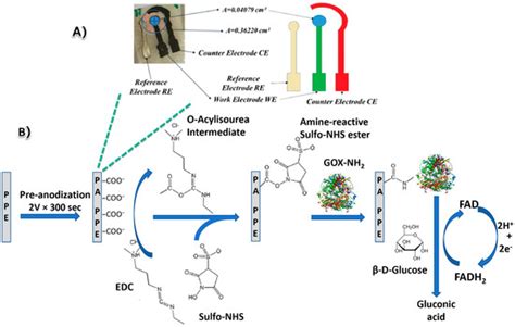 Biosensors Free Full Text Direct Electron Transfer Of Glucose