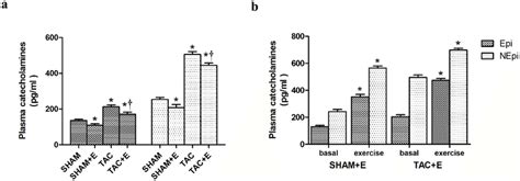 Effect Of Aerobic Exercise On Catecholamine Levels After Tac The