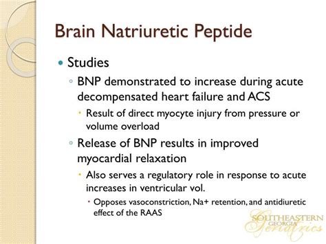 PPT - HYPERTENSIVE CRISIS AND BRAIN NATRIURETIC PEPTIDE PowerPoint Presentation - ID:2240513