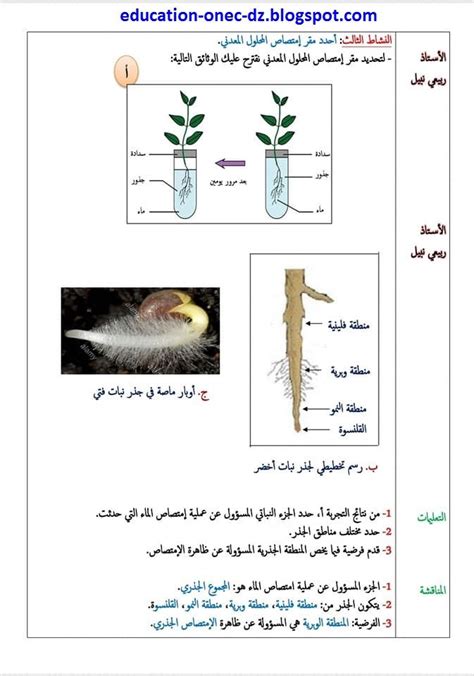 درس أغذية النبات الأخضر في علوم الطبيعة و الحياة للسنة الاولى متوسط