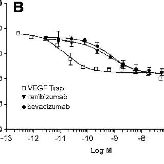 The Effects Of VEGF Trap Ranibizumab And Bevacizumab On Luciferase