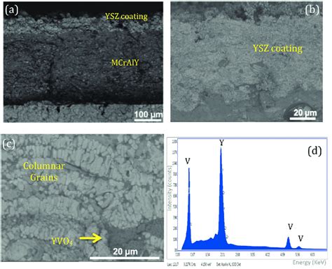 SB SEM Micrograph Of The 7YSZ Coating Cross Section After 4 Cycles In