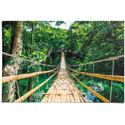 Maxiposter Jungle Bridge 61 X 91 5 Cm Acquista Da OBI