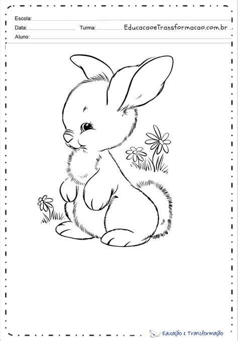 Desenho De Coelho Para Colorir E Imprimir Moldes De Coelhos