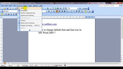 How To Change Default Font Type And Size In Ms Word Youtube