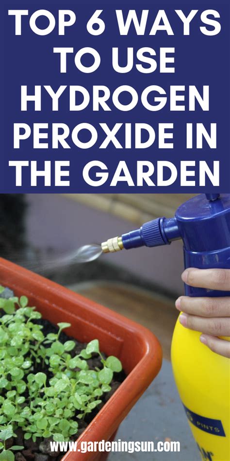 23 Hydrogen Peroxide Use In The Garden Ideas Worth A Look Sharonsable