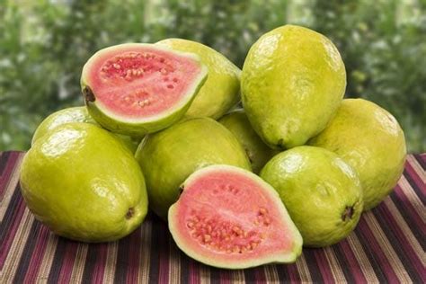 Nutritional Facts And Health Benefits Of Guava Fruit By Jeffersonsam