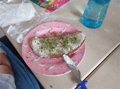 Gesundes Frühstück Fanny Koenig Grundschule