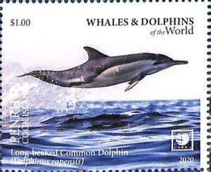 Stamp Long Beaked Common Dolphin Delphinus Capensis Penrhyn Whales