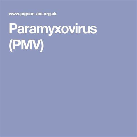 Paramyxovirus (PMV) | Medical, Rehab