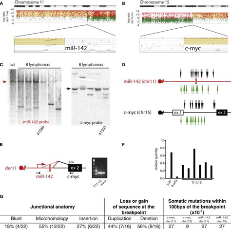 AID Produces DNA Double Strand Breaks In Non Ig Genes And Mature B Cell