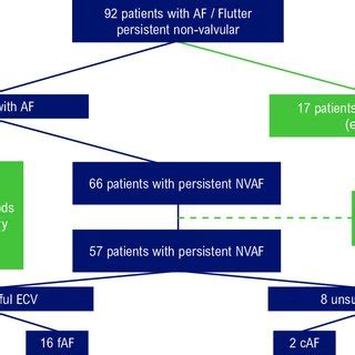 Study Flowchart Af Atrial Fibrillation Ecg Electrocardiogram