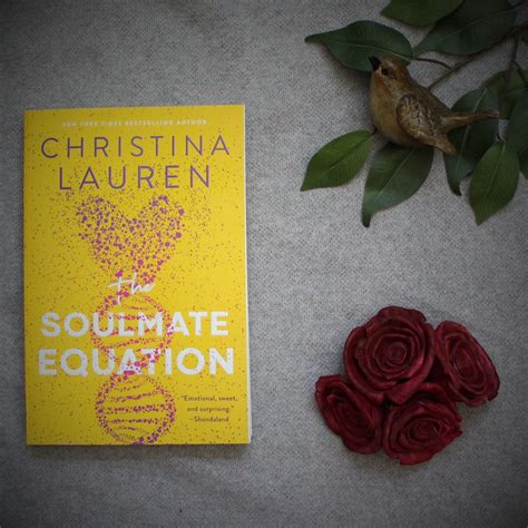 Review The Soulmate Equation The Corked Reader